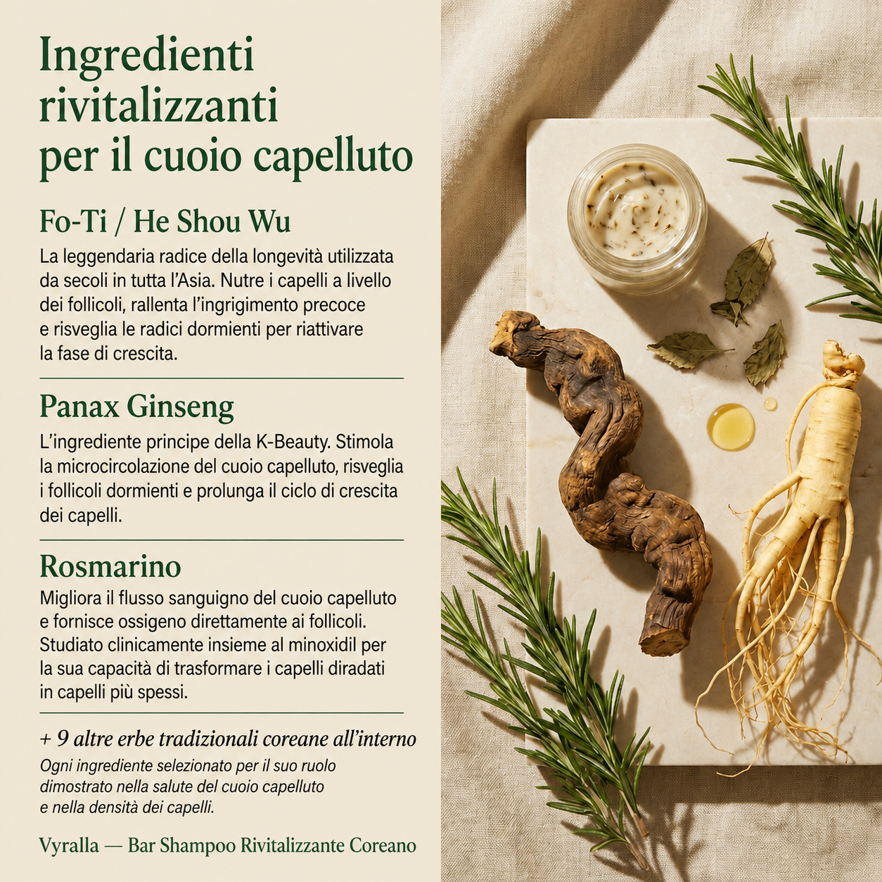Saponetta coreana rivitalizzante per il cuoio capelluto