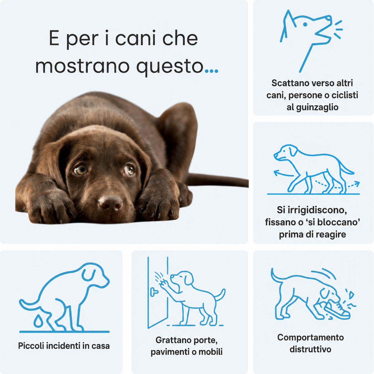 Kit diffusore calmante per cani