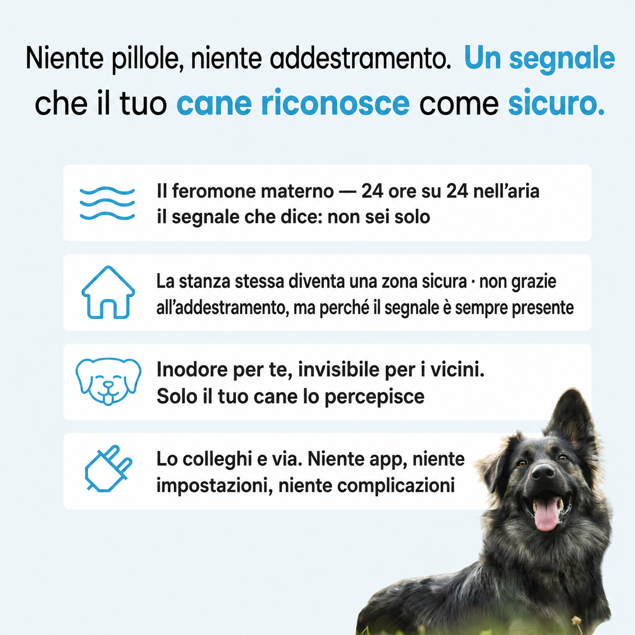 Kit diffusore calmante per cani