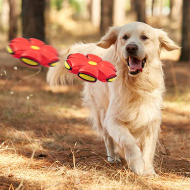 AirBall | Balle pour chien